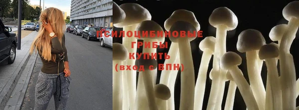 кристаллы Бородино