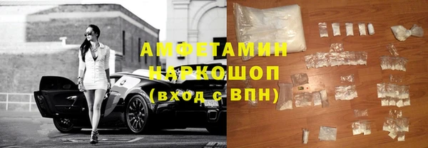индика Богданович