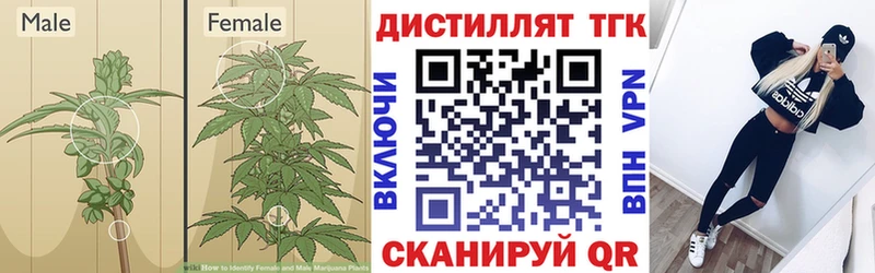 магазин продажи   Ростов  ТГК вейп с тгк 